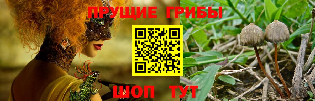 закладка  Галлюциногенные грибы ЛСД  Вход с VPN  Холмск 